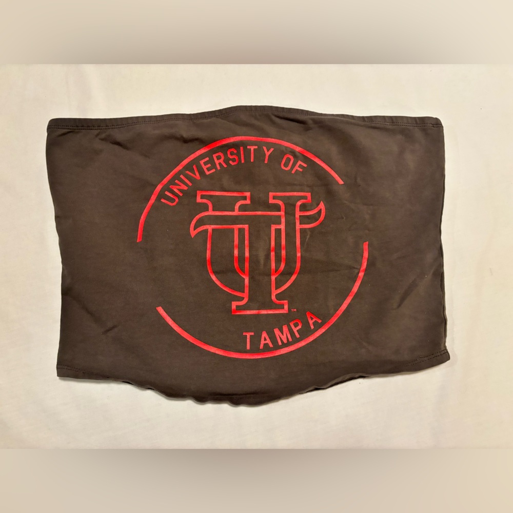 University of Tampa, gray bandeau with built in shelf bra, L